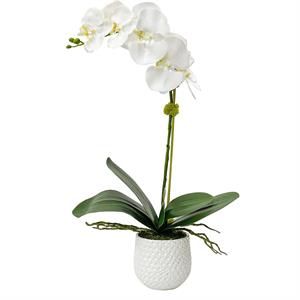 Bowery Hill Coastal Polyester Ceramic and Bamboo Orchid in White