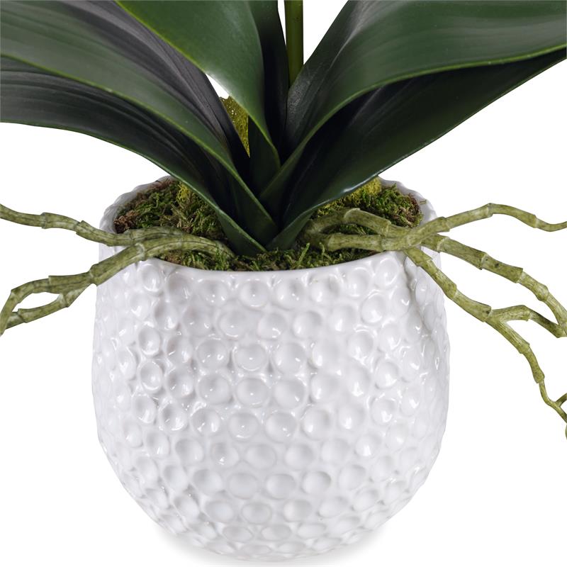 Bowery Hill Coastal Polyester Ceramic and Bamboo Orchid in White