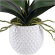 Bowery Hill Coastal Polyester Ceramic and Bamboo Orchid in White