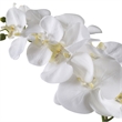 Bowery Hill Coastal Polyester Ceramic and Bamboo Orchid in White