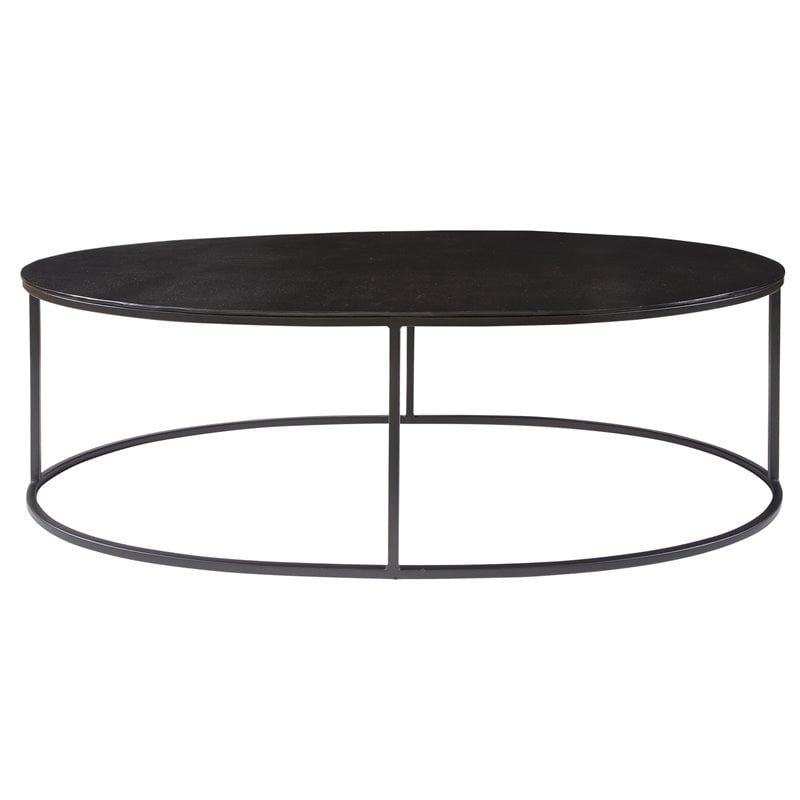 Bowery Hill Oval Iron Metal and Aluminum Coffee Table in Aged Black