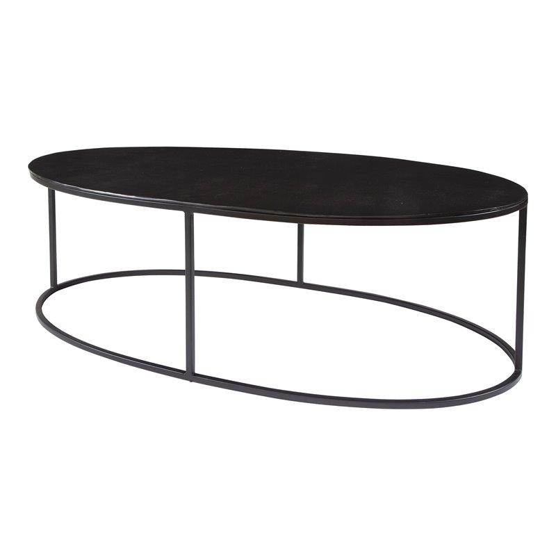 Bowery Hill Oval Iron Metal and Aluminum Coffee Table in Aged Black