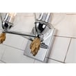 Bowery Hill 2-light Gold Flame-shaped Bath Vanity Light in Chrome