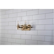Bowery Hill Transitional 2-light Metal Bath Vanity Light in Aged Brass