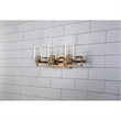 Bowery Hill Transitional 3-light Metal Bath Vanity Light in Aged Brass