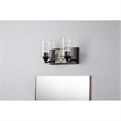 Bowery Hill 2-light Metal Bath Vanity Light in Matte Black/Silver