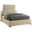 Bowery Hill Contemporary Deep Button Tufted Rich Velvet Queen Bed in Cream
