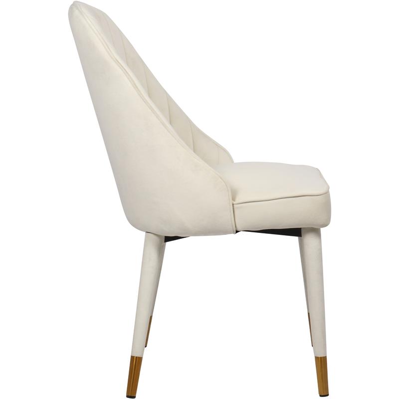 Bowery Hill Contemporary Cream Velvet Dining Chair (Set of 2)