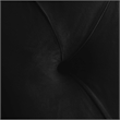 Bowery Hill Contemporary Deep Button Tufted Soft Black Velvet Queen Bed