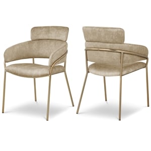 Bowery Hill Contemporary Beige Velvet Dining Chair (Set of 2)