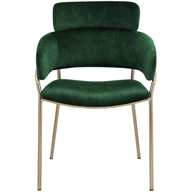 Bowery Hill Contemporary Green Velvet Dining Chair (Set of 2)