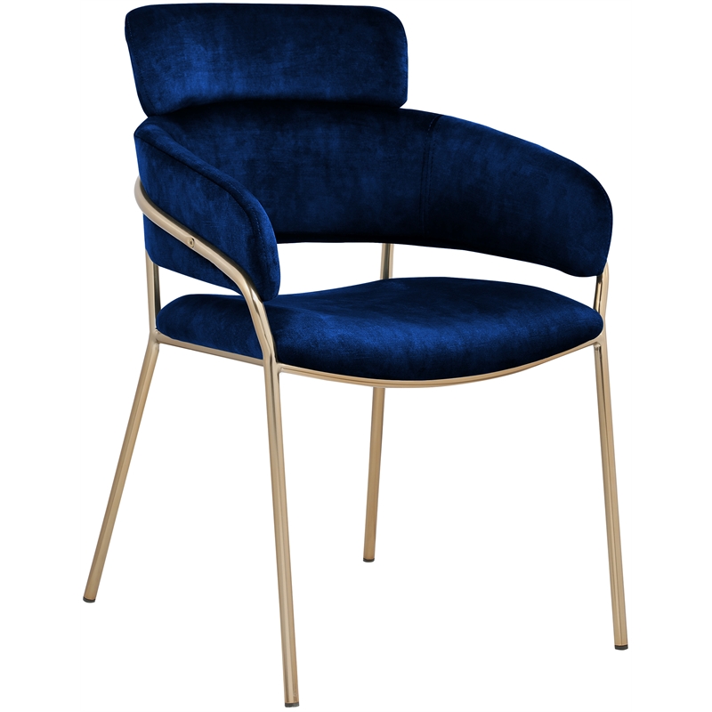 Bowery Hill Contemporary Navy Velvet Dining Chair (Set of 2)