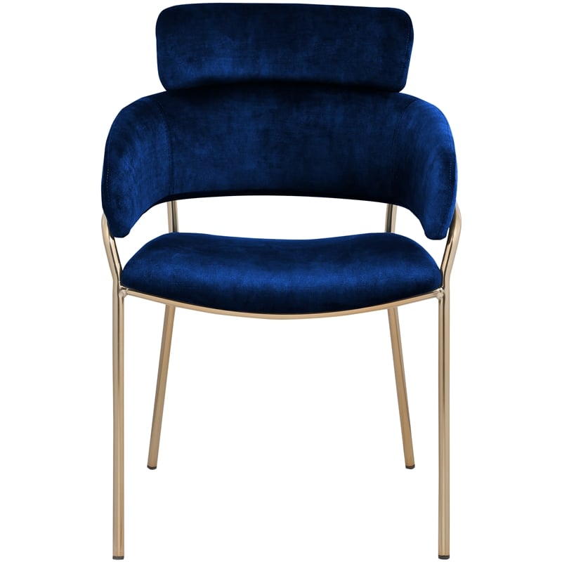 Bowery Hill Contemporary Navy Velvet Dining Chair (Set of 2)