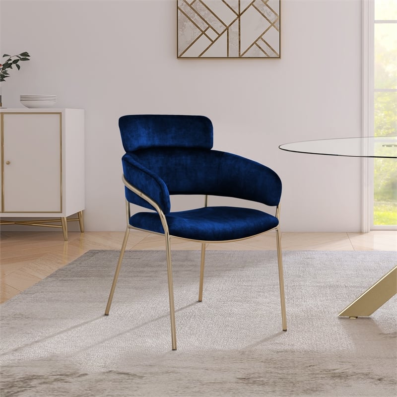 Bowery Hill Contemporary Navy Velvet Dining Chair (Set of 2)