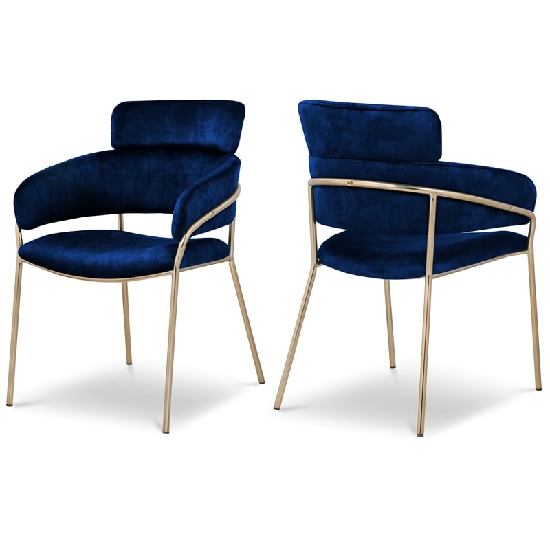 Bowery Hill Contemporary Navy Velvet Dining Chair (Set of 2)