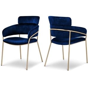 Bowery Hill Contemporary Navy Velvet Dining Chair (Set of 2)