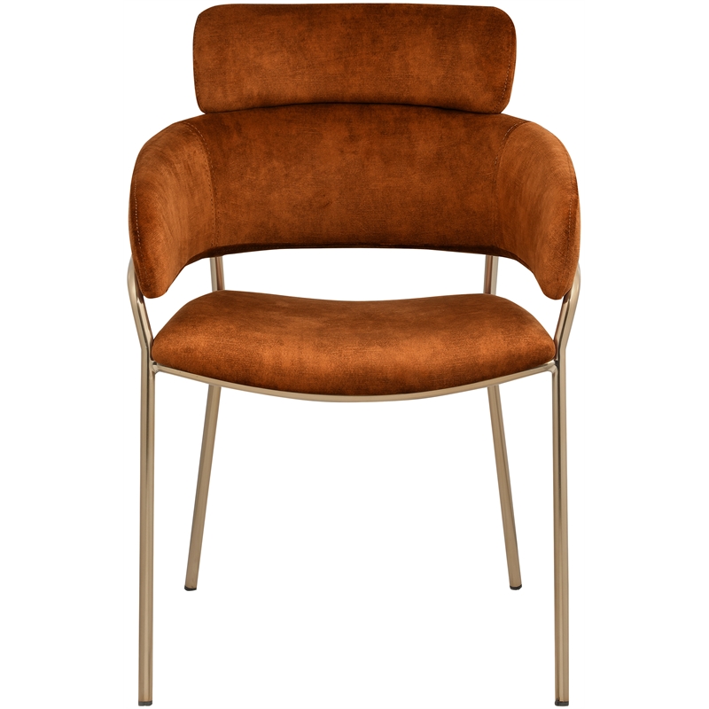Bowery Hill Contemporary Cognac Velvet Dining Chair (Set of 2)