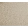 Bowery Hill Contemporary Soft Plush Beige Teddy Fabric Queen Bed