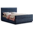 Bowery Hill Contemporary Channel Tufted Navy Chenille Fabric Queen Bed