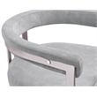 Bowery Hill Contemporary Grey Velvet Dining Chair (Set of 2)