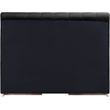 Bowery Hill Contemporary Black Durable Velvet Queen Fully Slatted Bed