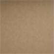 Bowery Hill Contemporary Tan Vegan Leather Upholstered Chair