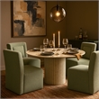 Bowery Hill Contemporary Soft Mint Chenille Fabric Dining Chair