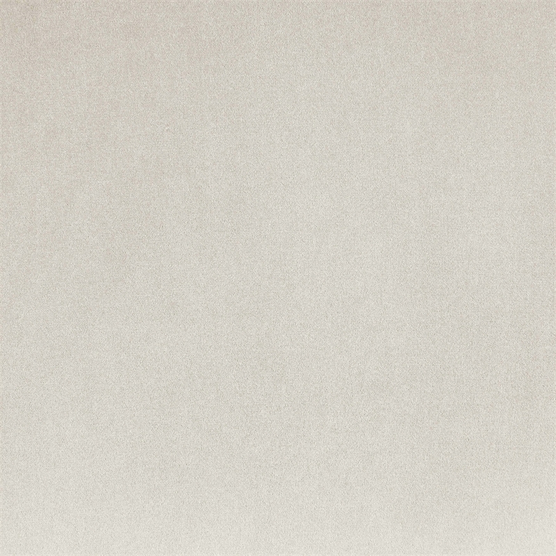 Bowery Hill Contemporary Cream Durable Velvet Upholstered Queen Bed