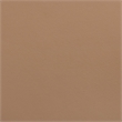 Bowery Hill Contemporary Cognac Vegan Leather Upholstered Dining Chair