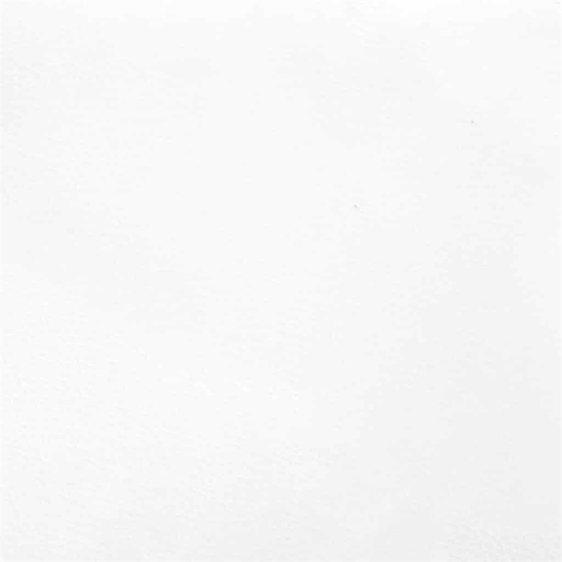 Bowery Hill Contemporary Modren Twin XL Faux Leather Bed Frame in White