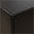 Bowery Hill Contemporary Rattan Garden Storage Cabinet in Black