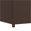Bowery Hill Contemporary Rattan Storage Chest in Brown Finish