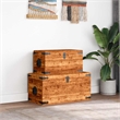 Bowery Hill Multiple Sizes Rough Mango Wood Storage Box in Brown
