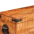 Bowery Hill Multiple Sizes Rough Mango Wood Storage Box in Brown