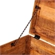 Bowery Hill Contemporary Rough Mango Wood Storage Box in Brown
