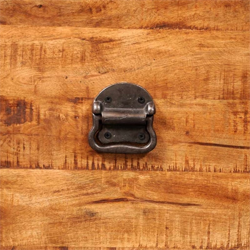 Bowery Hill Contemporary Rough Mango Wood Storage Box in Brown