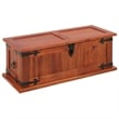 Bowery Hill Contemporary Solid Acacia Wood MDF Storage Chest in Brown
