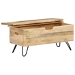Bowery Hill Contemporary Medium Solid Mango Wood Chest in Brown