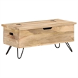 Bowery Hill Contemporary Medium Solid Mango Wood Chest in Brown