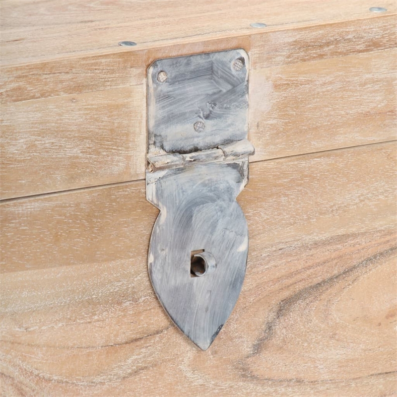 Bowery Hill Contemporary Solid Acacia Wood Iron Chest in White