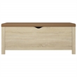 Bowery Hill Engineered Wood Storage Box with Faux Leather in Sonoma Oak