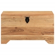 Bowery Hill Contemporary Medium Solid Acacia Wood Storage Chest in Brown