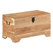 Bowery Hill Contemporary Medium Solid Acacia Wood Storage Chest in Brown
