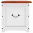 Bowery Hill Solid Acacia Wood & Engineered Wood Storage Chest in Brown & White