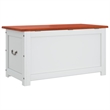Bowery Hill Solid Acacia Wood & Engineered Wood Storage Chest in Brown & White