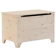 Bowery Hill Contemporary Untreated Pine Wood Storage Box in Brown