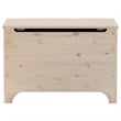 Bowery Hill Contemporary Untreated Pine Wood Storage Box in Brown