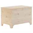 Bowery Hill Contemporary Untreated Pine Wood Storage Box in Brown