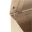 Bowery Hill Contemporary Untreated Pine Wood Storage Box in Brown