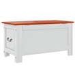 Bowery Hill Solid Acacia Wood & Engineered Wood Storage Chest in Brown & White